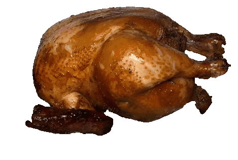 chicken
